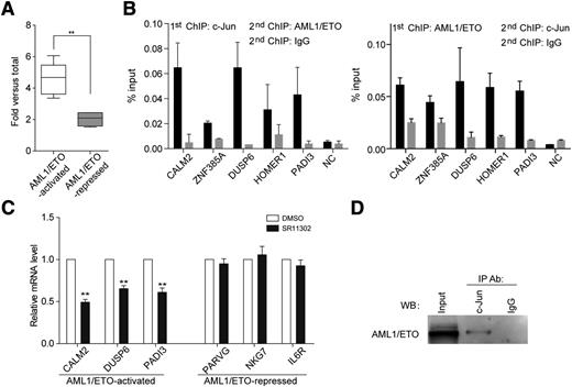Figure 7. The transcriptional activation property of AML1/ETO on AML1/ETO-AML1 complex bound genes is potentiated through the recruitment of AP-1. (A) c-Jun, a surrogate mark for AP-1, binds to the AML1/ETO-activated genes, but not to the AML1/ETO-repressed genes. ChIP was performed with anti-c-Jun antibody. The detailed ChIP-qPCR values can be found in supplemental Figure 9. (B) Validation for the coexistence of AML1/ETO and c-Jun on the promoter regions of AML1/ETO-activated genes through re-ChIP assays. ChIP products of the first indicated antibodies from Kasumi-1 cells were subjected to immunoprecipitation using the second indicated antibodies. NC, negative control. (C) The expression level of AML1/ETO-activated genes (CALM2, DUSP6, and PADI3) is decreased on SR11302 (AP-1 inhibitor) treatment. AML1/ETO-repressed genes (PARVG, NKG7, and IL6R) were used as negative controls. Error bars in B and C represent the SD of triplicate measurements. (D) AML1/ETO interacts with c-Jun in Kasumi-1 cells. The c-Jun–specific antibody was used for IP and the anti-ETO antibody was used for western blotting. **P < .01.