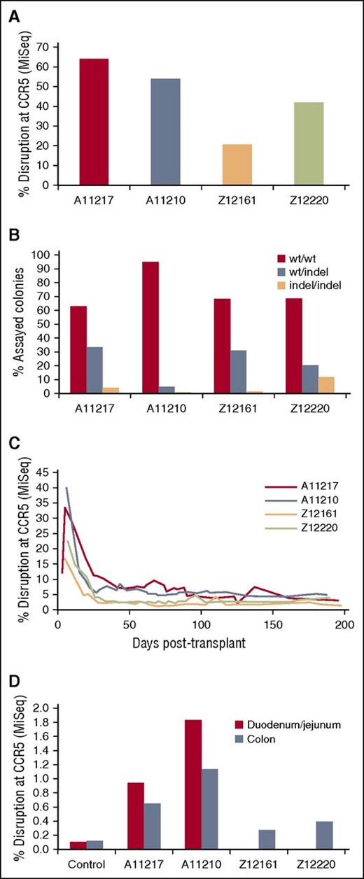 Figure 5. Efficient disruption of CCR5 ex vivo and detection of CCR5-modified cells in vivo. (A-B) A small aliquot of electroporated HSPCs from 4 animals transplanted with mCCR5 ZFNs was maintained ex vivo to quantify bulk and biallelic disruption of CCR5. (A) Total gDNA isolated from ex vivo cultured HSPCs; displayed is the peak disruption during a 5-day liquid culture time course. (B) Biallelic disruption was measured in colony forming assays as described in “Materials and methods.” (C) Peripheral blood was collected from each animal at the indicated time points post-transplant, and gDNA was isolated from hemolysed total leukocytes. (D) GI biopsies were collected from the indicated animals at ∼190 days post-transplant and total gDNA was isolated. Duodenum/Jejunum biopsies were not collected from Z12161 and Z12220 due to insufficient size of the animals. CCR5 disruption was measured from each gDNA sample by Illumina MiSeq. “Control” are representative values from 1 of 3 CCR5 WT animals from which GI tissues were collected following transplant with lentivirus-transduced cells. All values are significantly increased relative to the controls at the P < .05 level of significance (Bonferroni-corrected).