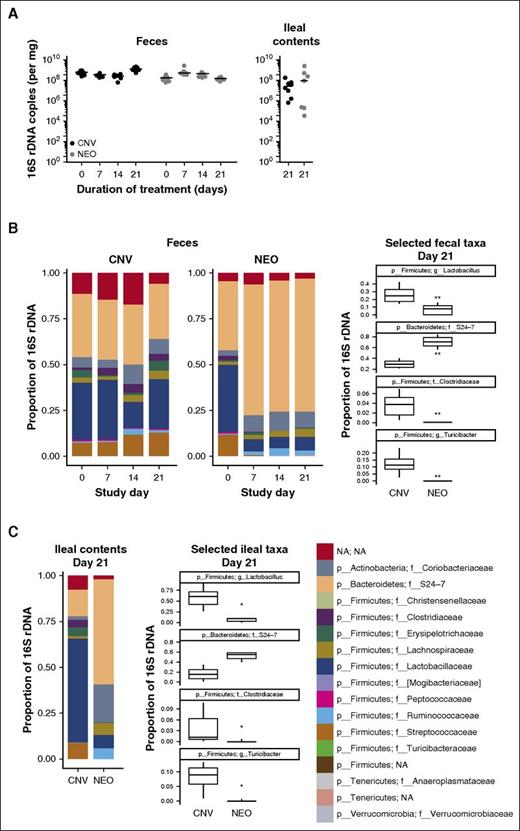 Figure 3. Metagenomic analysis of the murine intestinal microbiota upon treatment with neomycin. (A) Quantitative real-time PCR analysis of 16S rDNA copy number from the feces or ileal contents of mice treated with conventional water (CNV, black) or neomycin (NEO, gray). Horizontal lines depict median values. (B) Family-level phylogenetic analyses of fecal bacterial sequences from conventional and neomycin-treated mice. Frequencies of significantly altered bacterial taxa in feces were compared individually at day 21. (C) Family-level phylogenetic analysis of ileal contents taken at day 21, with individual frequency comparisons of significantly altered taxa. All data represent averages from 8 mice in each treatment condition, housed as pairs in 4 separate cages. Box-and-whisker plots depict medians ± interquartile range. Statistical significance for all comparisons was analyzed by Kruskal-Wallis tests with correction for false discovery rate. *P < .05; **P < .01.