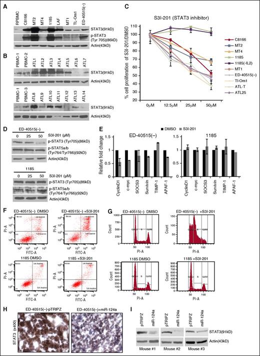 Figure 3. HTLV-I/ATL cells over-express STAT3, which is required for cell survival. (A-B) Increased expression of STAT3 and p-STAT3 (Tyr705) in HTLV-I and ATL cell lines and increased STAT3 expression in primary ATL patient samples (n = 14). Resting noninfected PBMCs (R.PBMCs, n = 3) served as controls. Actin served as a loading control. (C) The STAT3 inhibitor (S3I-201) decreases cellular proliferation in HTLV-I/ATL-lines. Cells were treated with 0, 12.5, 25, or 50 μM S3I-201 or dimethyl sulfoxide (DMSO) for 72 hours. The average growth curve is representative of the percentage of proliferation between S3I-201 and DMSO-treated cells. Each cell line was treated at least twice for standard deviation. 1185 (-IL2) cells were washed in phosphate-buffered saline and resuspended in media without IL2, followed by treatment with S3I-201 for 72 hours. (D) p-STAT3 (Tyr705) or p-STAT5a/b (Tyr764/Tyr766) in ED-40515(–) or 1185 cells treated with 0, 25, or 50 μM S3I-201 for 24 hours. (E) ED-40515(–) or 1185 cells were treated with 50 μM S3I-201 or DMSO for 24 hours. Expression of CyclinD1, c-myc, SOCS3, survivin, TIMP-1, and APAF-1 were analyzed by real-time quantitative PCR. Standard deviation was calculated from at least 2 independent experiments, with GAPDH as a control. (F-G) ED-40515(–) or 1185 cells were treated with 50 μM S3I-201 for 72 hours. Annexin V/PI (F) or PI staining for cell cycle (G) was analyzed. (H-I). Mouse tumor tissue was immunohistochemistry-stained (H) or in vivo lysates used for STAT3 protein expression (I) from 3 ED-40515(–) TET-On tumors. Images were taken at room temperature on a Nikon Eclipse 80i microscope (Nikon Instruments, Inc., Melville, NY) and a Nikon DSFI1 camera, with a 40× objective lens.