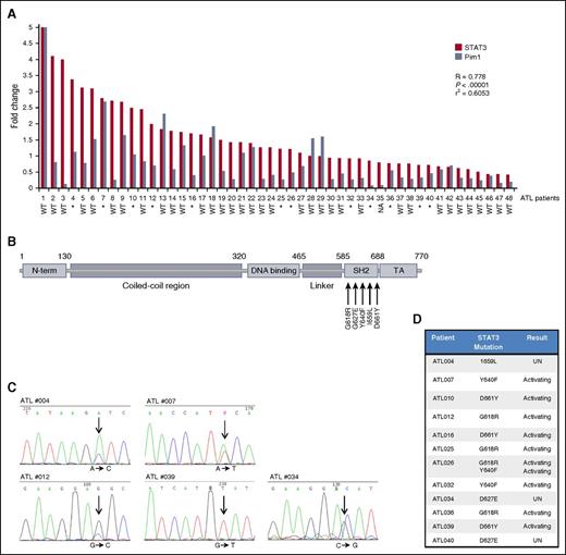 Figure 5. Primary ATL patient samples are characterized by a high rate of STAT3 mutations and a strong correlation between STAT3 and Pim1. (A). Correlation of STAT3 and Pim1 in ATL patients. Real-time PCR analysis of STAT3 (red) and Pim1 (steel blue) expression in primary ATL patients (n = 48). Statistical analysis was carried out using Spearman’s correlation coefficient. Corresponding P values and linear regression values are indicated. GAPDH amplification served as an internal control. Mutational status of the STAT3 hotspot region is indicated below the corresponding patient. *, mutated; WT, wild-type; NA, not available. (B) Illustration of the STAT3 protein indicating the SH2 domain where frequent ATL STAT3 mutations were found. (C) A representational example of STAT3 mutations found in individual ATL patients. Arrows highlight the specific point mutation in the sequence, with the corresponding nucleotide change below. (D) Primary ATL patients have a 25.5% percentage of STAT3 mutations. Table demonstrating individual STAT3 mutations found in ATL patients. The consequence of each mutation, if known, is highlighted. UN, unknown.