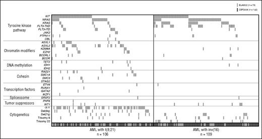 Figure 1. Molecular alterations in CBF AML. Each column represents the mutation pattern in 1 patient, and each colored box represents a mutation of the gene. Genes have been grouped in 7 categories according to reference.26 Patients are grouped into AML with t(8;21) (left) and AML with inv(16) (right). Adult (CBF2006 trial, dark gray boxes) and pediatric patients (ELAM02, light gray boxes) are reported together.