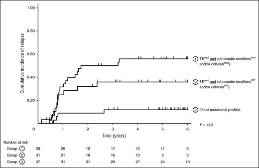 Figure 2. Kaplan-Meier curves for CIR in patients stratified according to their mutational profile. Patients are separated in 3 groups: (1) TK pathway mutation associated with at least 1 mutation involving chromatin modifier or cohesin genes, (2) TK pathway mutation without mutations involving chromatin modifier or cohesin genes, and (3) other mutational profiles.