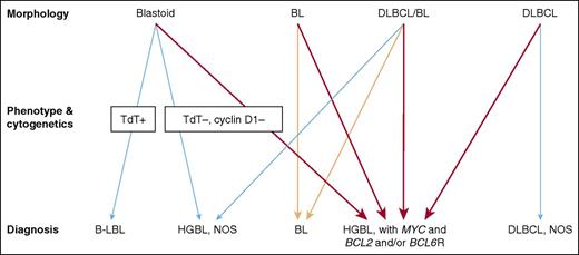 Figure 4. Diagnostic approach to HBCLs. Lymphomas that potentially fall into the HGBL categories can morphologically resemble B-lymphoblastic leukemia/lymphoma (B-LBL), BL, and DLBCL as well as lymphomas that are intermediate between DLBCL and BL (DLBCL/BL). These distinctions can be very subjective. The orange arrows indicate cases with a BL phenotype and a MYC rearrangement without BCL2 or BCL6 rearrangements (“single hit”). The red arrows indicate cases with MYC and BCL2 and/or BCL6 rearrangements (“double or triple hit”). Neither MCLs, subtypes of LBCLs, nor Burkitt-like lymphoma with 11q aberration are indicated in this diagram. Adapted from Kluin et al89 with permission. Professional illustration by Patrick Lane, ScEYEnce Studios.