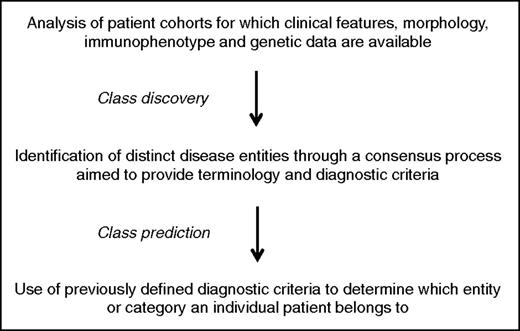 Figure 1. The classification process.