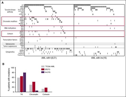 Mutational profile of CBF-AML. (A) Spectrum of recurrent mutations in 215 pediatric and adult patients with CBF-AML. ASXL1, ASXL2, and EZH2 mutations are mutually exclusive of each other as are mutations of members of the cohesin complex. These mutations were only detected in t(8;21) patients. (B) AML with inv(16) largely lack mutations of chromatin modifiers and cohesion complex members, which are common in t(8;21) AML and AML in general as reported by The Cancer Genome Atlas (TCGA) Research Network.9 *The TCGA data were derived by whole genome/exome sequencing and therefore are capable of detecting mutations of genes in each respective class not evaluated in this study. This figure has been adapted from Figure 1 in the article by Duployez et al that begins on page 2451.
