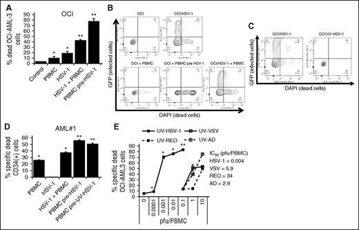 Figure 1. HSV-1 potently stimulates PBMC to kill leukemic cells. (A) Percent dead OCI-AML3 cells determined by flow cytometry as described in “Materials and methods” after culture with PBMCs or PBMCs pre-exposed for 16 hours to 0.1 pfu/PBMC HSV-1 (30:1 effector:target). *P < .05 from control; **P < .0001 from PBMCs alone. (B) Representative flow cytometry plots of OCI-AML3 cells infected or not with HSV-1, ±PBMCs or PBMCs pre-exposed to HSV-1. (C) Representative flow cytometry plots of OCI-AML3 cells exposed to live or UV-inactivated HSV-1. (D) Percent dead CD34+ primary leukemic cells determined by flow cytometry as described in “Materials and methods” after culture with PBMCs or PBMCs pre-exposed for 16 hours to 0.1 pfu/PBMC of HSV-1 or UV-HSV-1 (30:1 effector:target). *P < .01 from control; **P < .001 from PBMCs alone. (E) PBMCs were exposed to increasing concentrations of UV-inactivated viruses for 16 hours. Cytolytic activity against OCI-AML3 cells was determined as in B. *P < .05 from PBMCs alone; **P < .05 from VSV, Reo, or Ad at 10 pfu/PBMC.