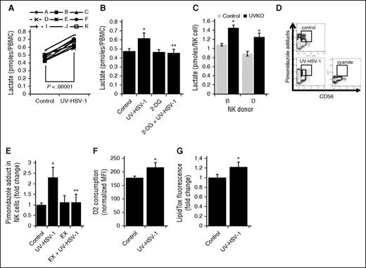 Figure 6. UV-HSV-1 induces metabolic reprogramming of NK cells. (A) PBMCs from 9 healthy donors were exposed to UV-HSV-1 (0.1 pfu/PBMC for 16 hours), and the levels of lactate in the culture supernatant were quantitated as described in “Materials and methods.” Results are expressed as pmol lactate/cell. (B) PBMCs from 4 healthy donors were exposed to UV-HSV-1 (0.1 pfu/PBMC for 16 hours), ±11 mM 2-deoxyglucose and lactate levels determined as above. *P < .01 from control; **P < .01 from UV-HSV-1. (C) NK cells from 2 healthy donors were exposed to UV-HSV-1 (0.1 pfu/PBMC for 16 hours), and the levels of lactate in the culture supernatant were quantitated. *P < .05 from control. (D) Representative flow cytometry plots of oxygen consumption measurements using pimonidazole as an indicator of cellular respiration. (E) PBMCs from 4 healthy donors were exposed to UV-HSV-1 (0.1 pfu/PBMC), ±100 μΜ etomoxir for 4 h in complete medium supplemented with pimonidazole, and the accumulation of pimonidazole adducts was quantitated as described in “Materials and methods.” PBMCs treated with 6 mM sodium cyanide served as a background control, and results are shown as cyanide-corrected values. Each donor was tested in triplicate, and the average value was used for statistical purposes. *P < .05 from control; **P < .05 from UV-HSV-1 alone. (F) EasySep purified CD56+ cells were exposed, or not, to 0.1 pfu/NK cell UV-HSV-1 for 4 hours in complete medium supplemented with pimonidazole, and the accumulation of pimonidazole adducts was quantitated as above. *P < .05 from control. (G) PBMCs from 3 healthy donors were exposed to 0.1 pfu/PBMC UV-HSV-1 for 16 hours, and the accumulation of intracellular triglycerides was monitored by flow cytometry as described in “Materials and methods.” Each donor was tested in triplicate, and the average value was used for statistical purposes. *P < .05 from control.