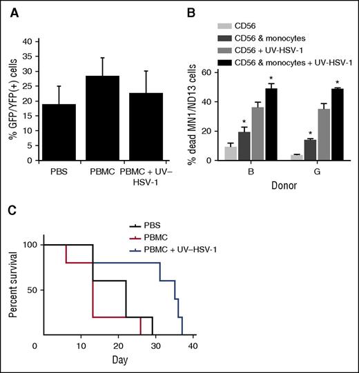 Figure 7. UV-HSV-1 potentiates the therapeutic efficacy of allogeneic donor PBMC infusions in a murine model of human leukemic. (A) Peripheral blood leukemia burden was analyzed by flow cytometry gating on live GFP/YFP+ lymphocytes/monocytes 26 days after implantation of MN1/ND13 cells in sublethally irradiated NRG-3GS mice. (B) Purified NK cells from 2 healthy donors were exposed to 0.1 pfu/PBMC of UV-HSV-1 for 16 hours, ±EasySep-purified autologous monocytes (∼85% purity) at a ratio of 2:1 NK:monocyte. After incubation, only floating cells were collected, and their cytolytic activity against MN1/ND13 cells was determined. *P < .01 from condition without monocytes. (C) Twenty-eight days after implantation of MN1/ND13 cells, mice were intravenously injected with PBS, T cell–depleted healthy human PBMCs (3 × 106 cells), or T cell–depleted PBMCs exposed ex vivo to UV-HSV-1 (3 × 106 cells; 0.1 pfu/PBMC; 16 hours). Kaplan-Meier analysis was performed on surviving fractions.
