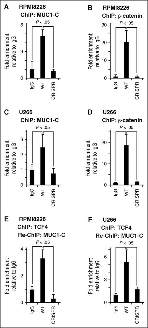 Figure 4. MUC1-C occupies the MYC promoter. (A-D) Soluble chromatin from the indicated WT and CRISPR cells was precipitated with anti-MUC1-C (A,C), anti-β-catenin (B,D), or a control IgG. (E-F) In re-ChIP studies, anti-TCF4 precipitates were released and reimmunoprecipitated with IgG or anti-MUC1-C. The final DNA samples were amplified by qPCR with pairs of primers (supplemental Table 2) for the TBS in the MYC promoter. The results (mean ± SD of 3 determinations) are expressed as the relative fold enrichment compared with that obtained for the IgG control (assigned a value of 1).