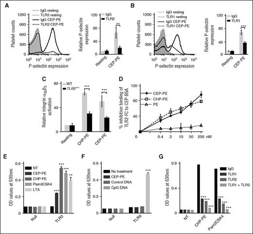 Figure 2. CAP-PEs are recognized by TLR2 and activate platelets via TLR2/TLR1. (A-B) Human platelets were isolated by gel filtration and preincubated with either blocking antibody (for TLR2 and TLR1) or nonimmune isotype-matched control IgG and then stimulated with CAP-PEs (CEP-PE). P-selectin expression was assessed by FACS analysis. (Right) Quantification of the data. (C) Murine platelets were isolated from WT and TLR2−/− mice by gel filtration, stimulated by 20 μM CAP-PEs (CHP-PE or CEP-PE) and integrin αIIbβ3 activation was assessed by FACS analysis. (D) CEP-PE, CHP-PE, or PE binding to TLR2 in the presence of increasing concentrations of CAP-PEs was determined by competitive enzyme-linked immunosorbent assay as described in the “Methods” section. (E) HEK-Blue-TLR2 and HEK-Blue-Null cells were incubated with 20 μM CAP-PEs (CEP-PE or CHP-PE) and TLR2 agonists Pam3CSK4 (25 ng/mL) or LTA (5 μg/mL) or control buffer (NT) for 16 to 18 hours. (F) HEK-Blue-TLR9 and HEK-Blue-Null cells were incubated with CAP-PEs (CEP-PE) and positive control CpG ODN2006 (100 nM). (G) HEK-Blue-TLR2 cells were preincubated with TLR2- or TLR1-blocking antibody or both the blocking antibodies, or IgG control for 12 hours, then incubated with the agonists for 16 to 18 hours. ***P < .001, **P < .01, comparing IgG vs blocking antibody or WT vs TLR2−/− or treated with NT.