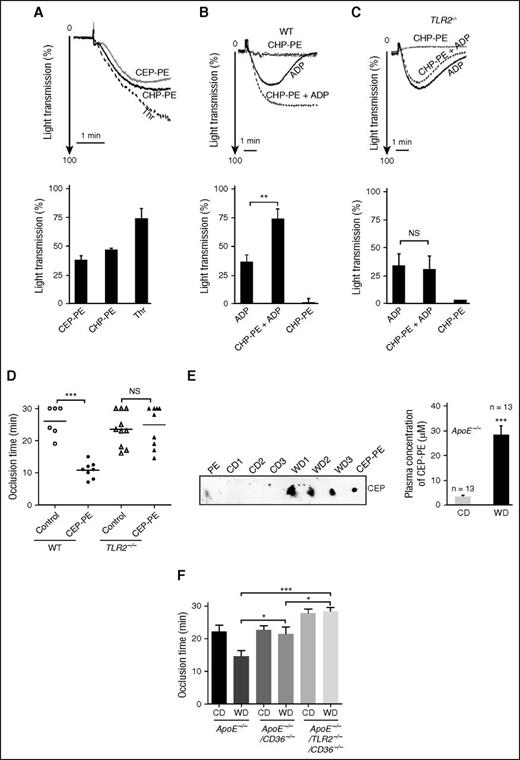 Figure 3. CAP-PEs induce platelet aggregation and hyperreactivity in vitro and promote thrombosis in vivo in a TLR2-dependent manner. (A) Human platelets were isolated by gel filtration. A total of 2 × 108/mL platelets were stimulated either with 1 U/mL thrombin, or 20 μM CAP-PEs (CEP-PE or CHP-PE) in the presence of 1 mg/mL fibrinogen and platelet aggregation was monitored in a Lumi-Aggregometer. (B-C) Platelet-rich plasma, isolated from WT (B) or TLR2−/− (C) mice was primed with/without 20 μM CAP-PEs (CHP-PE), then stimulated with ADP and aggregation was monitored. (D) WT and TLR2−/− mice were injected with 20 μM CAP-PEs (CEP-PE) or PE control via tail vein and after FeCl3 injury; the time to complete thrombotic occlusion of carotid artery was recorded. (E) Presence of CAP-PEs (CEP-PE) in the plasma of ApoE−/− mice fed chow diet (CD) or Western diet (WD) was determined by Far-Eastern blotting as described in the “Methods” section. (Right) Plasma concentrations of CEP-PE assessed by densitometry of Far-Eastern blotting using synthetic CEP-PE as a standard. (F) ApoE−/−, ApoE−/−/CD36−/−, and ApoE−/−/CD36−/−/TLR2−/− mice fed either CD or WD were used in intravital thrombosis assay. After FeCl3 injury, the time to complete thrombotic occlusion of carotid artery was recorded. *P < .05, **P < .01, ***P < .001 and not significant, P > .05.