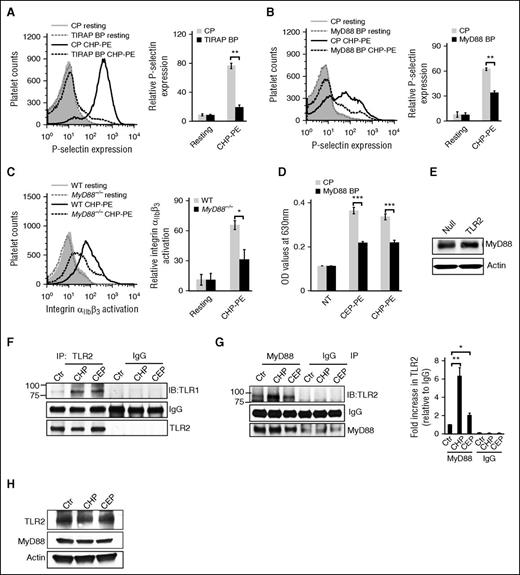 Figure 4. TIRAP and MyD88 are involved in platelet activation by CAP-PEs. (A-B) Gel-filtered human platelets were preincubated with (A) 10 μM TIRAP blocking peptide (TIRAP BP), (B) 10 μM MyD88 blocking peptide (MyD88 BP), or control peptide (CP), followed by stimulation with CAP-PEs (CHP-PE). (Left) Histogram presentation of FACS analysis data; (right) quantified data (mean ± SD) from 3 independent experiments. (C) Murine platelets were isolated by gel filtration from WT and MyD88−/− mice and were stimulated with CAP-PEs (CHP-PE); integrin αIIbβ3 activation was assessed by FACS analysis. (D) HEK-Blue-TLR2 cells were preincubated with MyD88 BP and CP for 12 hours and then stimulated with CAP-PEs (CEP-PE or CHP-PE) for 16 to 18 hours. (E) A total of 40 μg of total protein from TLR2-overexpressing cells and control cells (Null) were separated by SDS-PAGE and immunoblotted against MyD88 antibody. (F,H) Gel-filtered human platelets were stimulated with CAP-PEs (CEP-PE or CHP-PE), lysed, and (F-G) 300 μg of lysate protein was immunoprecipitated (IP) with (F) TLR2 antibody or (G) MyD88 antibody and immunoblotted against (F) TLR1 or (G) TLR2; (H) 50 μg of total protein was separated by SDS-PAGE and TLR2, and MyD88 and actin were detected by western blotting. ***P < .001, **P < .01, *P < .05, comparing either blocking vs control peptide or WT vs knockout mice or control vs treated.