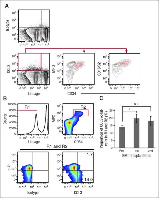 Figure 1. Constitutive CCL3 expression by a restricted progenitor cell type in mouse BM. (A) Total BM cells were harvested from the tibial bones of untreated mice. Rat immunoglobulin G2a (IgG2a) was used as an isotype control, shown in the upper panel. Expression of MPO, CD16/32, or CD34 was determined in total BM cells (black contour lines) or in lineagelow CCL3-expressing cells (red contour lines). Representative results from 3 independent experiments are shown. (B) CCL3 and c-kit expression was determined in lineagelowCD34+MPO+ cells (R1 and R2). Percentages of CCL3+ cells in c-kithigh and c-kitlow regions are shown. Rat IgG2a was used as an isotype control. Representative results from 3 independent experiments are shown. (C) Total BM cells (1 × 107) harvested from the femoral and tibial bones of untreated and primary BM chimeric mice were intravenously injected into sublethally irradiated recipient mice to establish the primary and secondary BM chimeras, respectively. Eight weeks after transplantation, the proportion of CCL3+c-kit− cells among lineagelowCD34+MPO+ cells was compared with that in untreated BM cells. Data represent means ± standard deviation (SD) from 4 independent experiments. *P < .05; N.S., no significant difference by Dunnett’s test.