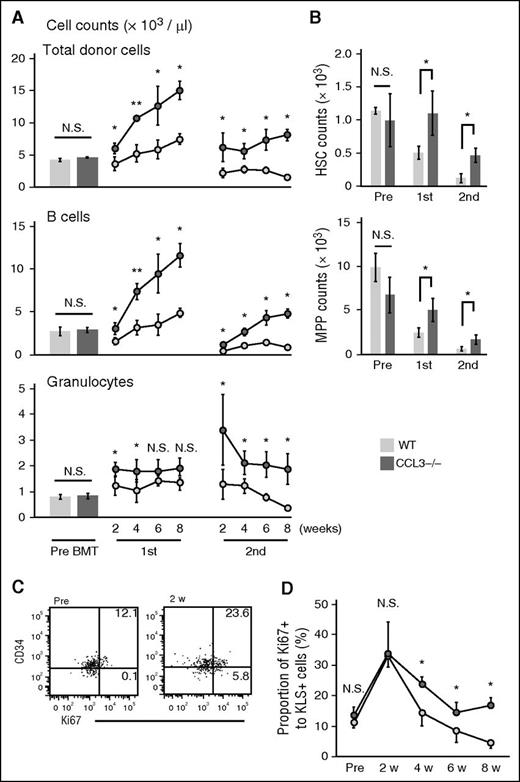 Figure 3. Excessive hematopoietic reconstitution after BM transplantation with CCL3−/− donor cells. A total of 1 × 107 BM cells harvested from the femoral and tibial bones of CD45.2+ WT or CCL3−/− mice were intravenously injected into sublethally irradiated CD45.1+ congenic mice to establish the primary BM chimera. Total BM cells were harvested from primary BM chimeric mice at 8 weeks after transplantation and subsequently subjected to the secondary BM transplantation. (A) The numbers of donor-derived total WBCs excluding T-cell receptor (TCR)–β chain+ T cells, CD19+ B cells, and Ly6G+ granulocytes in PB. Their numbers in the PB of untreated WT and CCL3−/− mice are shown by the columns. Data represent means ± SD from 4 to 6 independent experiments. (B) The numbers of donor-derived CD34−KLS+ HSCs and CD34+KLS+ MPPs were determined in the tibial BMs of nontreated mice and each BM chimera at 8 weeks after transplantation. Data represent means ± SD from 4 independent experiments. (C) Ki67 and CD34 expression in the KLS+ cells in the tibial BMs of untreated and BM chimeric mice at 2 weeks after transplantation with WT donor cells. Percentages of Ki67high cells in CD34+ and CD34− region are shown. Representative results from 4 independent experiments are shown. (D) Proportion of Ki67high cells among the KLS+ cells at the indicated time points after BM transplantation. Data represent means ± SD from 4 experiments. (A,B,D) *P < .05; **P < .01; N.S., no significant difference by the Mann-Whitney U test.