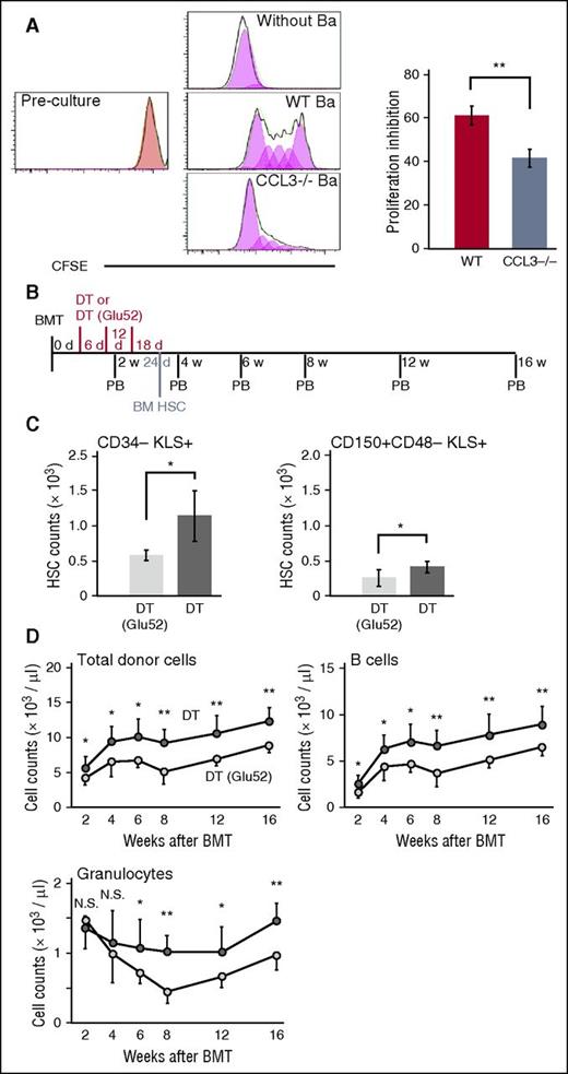 Figure 4. Inhibition of HSPC proliferation by basophil-derived CCL3. (A) KLS+ cells were isolated from the femoral and tibial BMs of CD45.1+ congenic mice, labeled with CFSE, and cocultured with or without CD45.2+ WT or CCL3−/− mouse-derived basophils (Ba). The division times of KLS+ cells were analyzed with FlowJo software at day 4. Basophil-mediated proliferation inhibition was calculated as follows: proliferation inhibition = (1 − division time of KLS+ cells in the presence of Ba/division time of KLS+ cells in the absence of Ba) × 100. Representative results from 3 independent experiments and means ± SD from 3 independent experiments are shown in the left and right panels, respectively. *P < .05 by an unpaired Student t test. (B) CD45.2+ MCPT8-DTR mouse-derived total BM cells were intravenously injected into sublethally irradiated CD45.1+ congenic mice to establish the BM chimera. DT (400 ng/mouse) was intravenously injected at the indicated time points. The same dose of mutated DT (Glu52) was injected as a control in a similar manner. (C) The numbers of CD34−KLS+ and CD150+CD48−KLS+ HSCs in the tibial BMs at 24 days after BM transplantation. Data represent means ± SD from 4 independent experiments. *P < .05 by the Mann-Whitney U test. (D) The numbers of donor-derived total WBCs excluding TCR-β chain+ T cells, CD19+ B cells, and Ly6G+ granulocytes in the PB. Means ± SD were calculated from 11 DT- or 8 DT (Glu52)–treated mice. *P < .05; **P < .01; N.S., no significant difference by the Mann-Whitney U test.