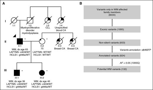 Figure 1. Family with documented coinheritance of WM. (A) Squares indicate male family members, circles indicate female family members, and slashes indicate a deceased family member. In the family we studied, 3 members were identified as affected with WM (II:1, III:1, III:2). Arrowhead indicates the proband (first member diagnosed with WM). *Sequenced samples. Age of diagnosis is indicated for the 3 affected members with WM. The sequenced unaffected member was aged 75 years at the time of sampling. Other diseases are specified for all the remaining members. (B) Workflow for selecting potential WM-associated variants. The number of variants identified in each step is shown. CA, cancer; dx, diagnosis; 1000G, 1000 Genomes; WT, wild-type.