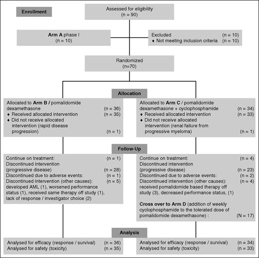 Figure 1. Study scheme and CONSORT flow diagram.