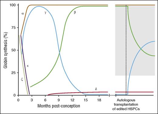 Figure 2. Reversal of hemoglobin switching to induce therapeutic levels of HbF. Reversal of hemoglobin switching can be accomplished through autologous bone marrow transplantation of genome-edited CD34+ HSPCs. The gray region indicates the hypothesized levels of HbF required for clinical benefit.