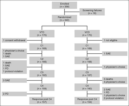 Figure 1. Trial profile. SAE, severe adverse event; PD, progressive disease; C, cycle.