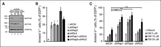 Figure 2. Effects of RAPTOR and RICTOR knockdown. (A-B) Seventy-two hours after transfection with shRNAs targeting RAPTOR (shRap) or RICTOR (shRic) along with plasmid encoding EGFP-histone H2B (to mark transfected cells), Jurkat cells were harvested for immunoblotting or stained with allophycocyanin-annexin V and analyzed by flow cytometry for annexin V binding to EGFP-histone H2B+ cells. (C) Cells were transfected with shRNAs, incubated for 12 hours, and treated with diluent or OSI-027 for 72 hours before annexin V staining. Error bars in panels B, C, and all subsequent figures indicate mean ± standard error of the mean of 3 independent assays unless otherwise stated. In panels B and C, *P < .05 relative to diluent-treated cells. In panel C, **P < .05 compared with cells treated with control shRNA and 20 µM OSI-027. All P values in this and subsequent figures are corrected for multiple comparisons.