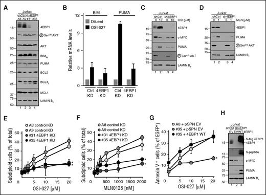 Figure 4. Effect of 4EBP1 knockdown on PUMA expression and dual inhibitor-induced apoptosis. (A) Immunoblot of Jurkat cells transfected with different control (lanes 1 and 2) or 4EBP1 knockdown constructs (lanes 3 and 4). (B) qRT-PCR for BIM and PUMA mRNA in control or 4EBP1 knockdown cells after 48-hour treatment with diluent or 10 µM OSI-027. In panel B, *P < .001 compared with diluent control. (C-D) Immunoblot of cells transfected with empty vector or 4EBP1 shRNA and treated for 48 hours with (C) OSI-027 or (D) MLN0128. (E-F) Cells were stained with PI and subjected to flow microfluorimetry after treatment with (E) OSI-027 or (F) MLN0128. (G-H) Cells expressing control plasmid or 4EBP1 shRNA were transfected with pSPN empty vector or plasmid expressing shRNA-resistant S peptide-tagged 4EBP1, incubated for 48 hours (G) with or (H) without OSI-027, and harvested for annexin V (G) binding or (H) blotting. In panels E-G, *P < .05 relative to A8 control.