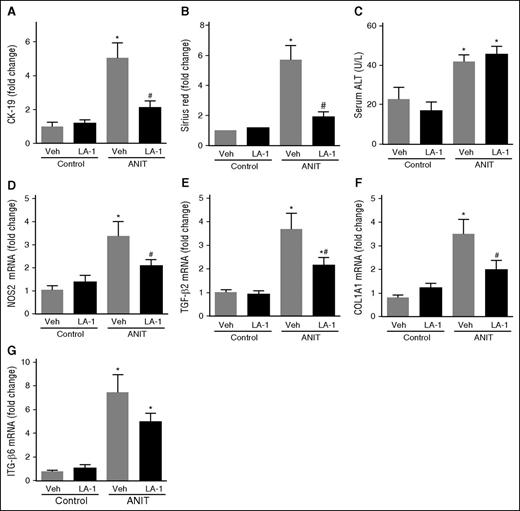 Figure 6. Treatment with the novel allosteric αM β2 integrin activator LA-1 reduces fibrosis in livers of WT mice with established periductal fibrosis. WT mice were fed a control diet (AIN-93M) or an identical diet containing 0.025% ANIT for 6 weeks. Mice were treated with vehicle (1.5 μL DMSO in 100 μL sterile PBS) or LA-1 twice daily (0.4 mg/kg per day, IP) in weeks 5 and 6. (A) CK-19 staining and (B) sirius red staining were quantified as described in “Methods.” (C) Serum ALT activity determined was as described in “Methods.” Hepatic expression of mRNAs encoding the genes: (D) NOS2, (E) TGFβ2, (F) COL1A1, and (G) ITGβ6 was determined by real-time qPCR. Data are expressed as mean + SEM; mice fed the control diet (n = 5) and mice fed the ANIT diet (n = 12 to 13 mice per group). *P < .05 vs respective treatment on control diet; #P < .05 vs vehicle-treated ANIT-exposed mice. Veh, vehicle.