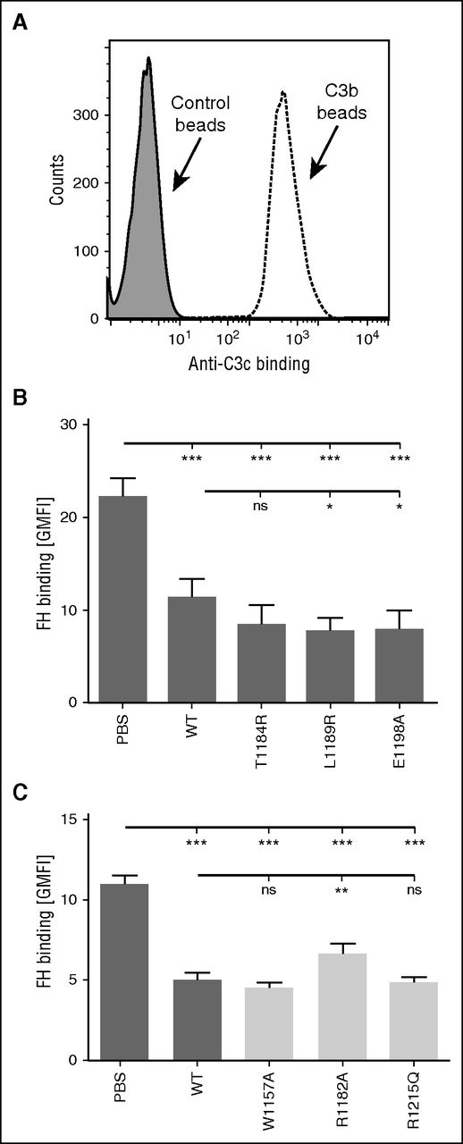 Figure 3. Effect of C-terminal mutations in FH binding to C3b deposited on beads. (A) C3b was deposited on beads by using purified C3 and factors B and D. C3b deposition was verified by showing increased binding of anti-C3c antibody by flow cytometry. (B-C) FH binding to C3b-bearing beads was competed with wt and several mutant FH19-20 fragments. FH was fluorescently labeled, and binding was analyzed by flow cytometry. (B) Data on FH binding in the presence of FH19-20 mutants of specific interest to this study are shown by dark gray–shaded bars; (C) data for control mutants are shown by light gray–shaded bars. The assays were performed at least 4 times. Shown are average geometric mean fluorescence intensity (GMFI) values (± SD). One-way ANOVA with Tukey’s multiple comparison posttests was performed. *P < .05; **P < .01; ***P < .001. ns, not significant.