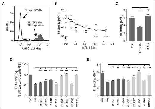Figure 5. FH interacts with sialic acid on endothelial cells. (A) C3b was deposited on HUVECs by incubating cells in 25% NHS and using an anti-CD59 antibody to initiate complement activation. Deposition of C3b on cells was verified by showing increased binding of anti-C3c antibody by flow cytometry. (B-E) Binding of FH to C3b-bearing endothelial cells was competed with various proteins. Binding of fluorescently labeled FH was analyzed by flow cytometry. (B) A dose-response study of FH binding to TNF-α–activated C3b-bearing HUVECs in the presence of increasing concentrations of the lectin MAL II. (C) With 10 µM FH19-20, FH binding to TNF-α–activated C3b-bearing glomerular endothelial cells was inhibited, but it was not inhibited by 100 µM FH6-8. FH binding to (D) C3b-bearing HUVECs or to (E) TNF-α–activated C3b-bearing glomerular endothelial cells in the presence of wt and mutant FH19-20 fragments. Data on mutants of specific interest to this study are shown by dark gray–shaded bars, and data on controls are shown by light gray–shaded bars. Shown are average values (± SD) of experiments performed at least 3 times. One-way ANOVA with Tukey’s multiple comparison posttests was performed. **P < .01; ***P < .001.