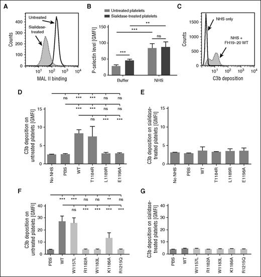 Figure 7. Effect of sialidase treatment on complement activation on platelets. (A) Washed human platelets were treated with sialidase or the respective buffer. Removal of sialic acid was confirmed by using flow cytometry to show decreased binding of fluorescently labeled MAL II. (A,C) Representative histograms of an assay performed 4 times. (B) The activation state of untreated and sialidase-treated platelets before and after serum exposure was determined by measuring P-selectin expression. Binding of anti-P-selectin antibody was detected by flow cytometry. (C-G) Platelets were incubated in 33% NHS, and FH19-20 fragments were added to disturb FH-mediated complement regulation. Fluorescently labeled C3 was included in the serum to allow measurement of complement activation as a function of deposition of fluorescent C3 fragments on platelets. (C) Addition of FH19-20 wt to serum caused an increase in C3b-deposition on untreated platelets. Shown is a representative histogram of an assay performed 5 times. (D) C3b-deposition on normal platelets incubated in serum with wt or mutant FH19-20. (E) C3b deposition on sialidase-treated platelets incubated in serum with wt or mutant FH19-20. (F-G) Assays described in (C) and (D) were also performed with control mutants FH19-20. Assays were performed 4 times. Shown are GMFI (± SD). Either (C) Student t tests or (D-G) one-way ANOVA with Tukey’ multiple comparison posttests were performed. **P < .01; ***P < .001.