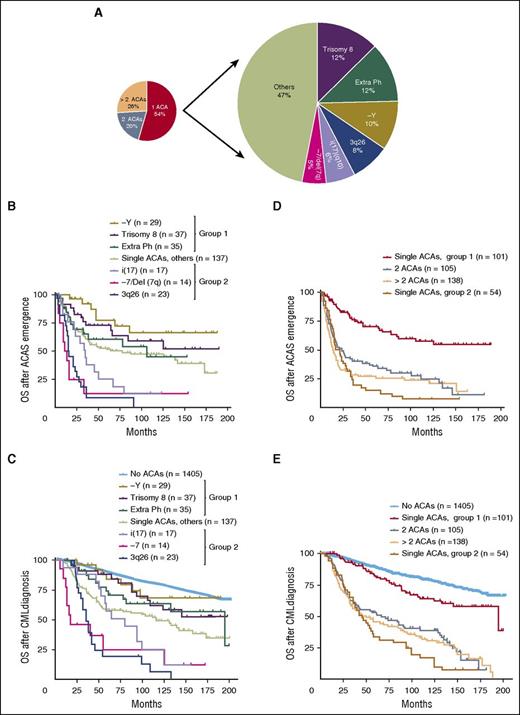 Figure 2. The stratification and survival impact of ACAs in CML. In cases with single ACAs, the types and frequencies of common ACAs were listed (A), and survival analysis following ACAs emergence (B) and CML diagnosis (C) was performed. In panel C, patients with no ACAs were included as a control. (D-E) Survival comparison between patients with 2 or more ACAs and patients with single ACAs. In patients with single ACAs, cases within each group were combined for survival analysis. Group 1 included patients with −Y, trisomy 8, and an extra Ph. Group 2 included patients with i(17), −7/Del(7q), and 3q26 rearrangements. Of note, survival analysis in this figure included all stages of disease (CP, AP, and BP).