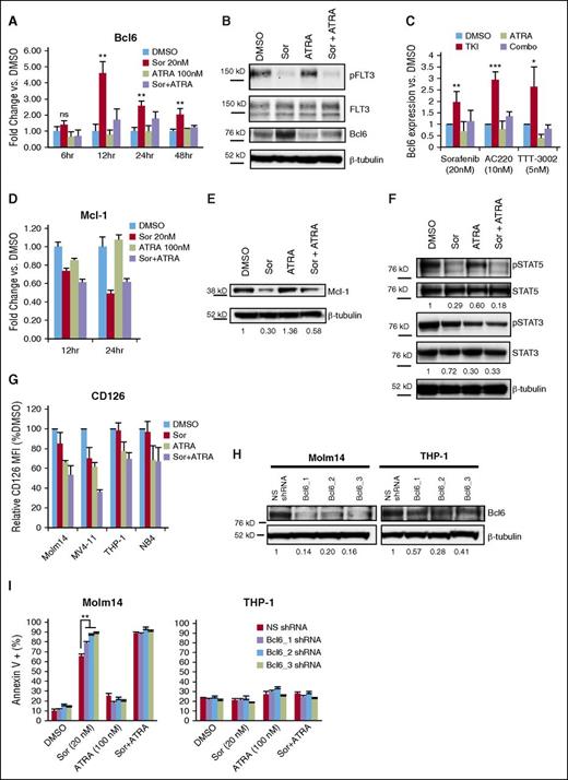 Figure 3. ATRA abrogates sorafenib-mediated upregulation of Bcl6 via reduced STAT3 signaling. (A) Molm14 cells were treated with sorafenib (Sor, 20 nM) and/or ATRA (100 nM) for 6 to 48 hours, and mRNA expression of Bcl6 was measured in triplicate by qPCR relative to TATA-binding protein (TBP). Error bars indicate average fold change vs DMSO ± SD (**P < .01). Data are representative of 3 independent experiments. (B) Expression of phospho-FLT3 (pFLT3), total FLT3, Bcl6, and β-tubulin in Molm14 cells following 24-hour treatment with sorafenib (20 nM) and/or ATRA (100 nM), representative of 4 independent experiments. (C) Bcl6 expression in Molm14 cells by western blotting following treatment with sorafenib (20 nM), AC220 (10 nM), or TTT-3002 (5 nM) alone or in combination with ATRA (100 nM) for 24 hours as in panel B, represented as average Bcl6 expression relative to β-tubulin vs DMSO for at least 3 independent experiments ± SD. (D) Molm14 cells were treated with sorafenib (20 nM) and/or ATRA (100 nM) for 12 or 24 hours, and mRNA expression of Mcl-1 was measured in triplicate by qPCR relative to TBP. Error bars indicate average fold change vs DMSO ± SD. Data are representative of 3 independent experiments. (E) Expression of Mcl-1 and β-tubulin in Molm14 cells following 24-hour treatment with sorafenib (20 nM) and/or ATRA (100 nM), with fraction of Mcl-1/β-tubulin relative to DMSO control indicated below each blot. (F) Expression of phospho-STAT5 (pSTAT5), total STAT5, phospho-STAT3 (pSTAT3), and total STAT3 in Molm14 cells following 48-hour treatment with sorafenib (20 nM) and/or ATRA (100 nM), with fraction of phospho-protein/total protein relative to DMSO indicated below each blot. Data are representative of 3 independent experiments. (G) Surface expression of CD126 (interleukin-6 receptor) in leukemia cell lines treated with sorafenib (20 nM) and/or ATRA (100 nM) for 48 hours, represented as relative CD126 mean fluorescence intensity (MFI) vs DMSO control. Error bars represent average of 3 independent experiments ± SD. (H) Expression of Bcl6 in Molm14 and THP-1 cells expressing NS shRNA or Bcl6-targeted (Bcl6_1, Bcl6_2, or Bcl6_3) shRNAs. Ratio of Bcl6 to β-tubulin relative to NS shRNA control is indicated below the blot. Data are representative of 3 independent experiments. (I) Annexin V binding in Molm14 and THP-1 cells with NS shRNA or Bcl6-targeted (Bcl6_1, Bcl6_2, Bcl6_3) shRNAs following 48-hour treatment with sorafenib (20 nM) and/or ATRA (100 nM). Error bars represent average of 3 independent experiments ± SD (**P < .01).