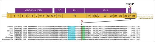 Figure 2. Location of the DIAPH1 R1213* variant. Schematic representation of the major MK DIAPH1 transcript ENST00000398557, which is predicted to encode the 1272–amino acid DIAPH1 protein. R1213 is 60 amino acids from the carboxyl terminus of DIAPH1 within the DAD. In the amino acid sequence lineup of human DIAPH1 and orthologs, there is conservation of the core MDxLLExL (blue box) and basic RRKR (green box) motifs within the DAD that mediate autoinhibitory interactions with the DID near the amino terminus of DIAPH1. Because R1213 is at position 1 of the basic RRKR motif, R1213* is predicted to cause expression of a truncated DIAPH1 protein with an intact core MDxLLExL motif, but without the basic RRKR motif. CC, coiled-coil; GBD, GTPase-binding domain.