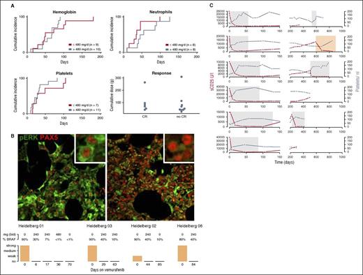 Figure 1. Effect of vemurafenib in HCL. (A) Cumulative incidence of blood count improvement. Upper row and lower left image: cumulative incidence of patients achieving hemoglobin >12 g/dL, neutrophils >1000 μL, and platelets >100/nL on vemurafenib treatment. Nineteen of 21 patients had thrombocytopenia <100 000/μL, and platelet counts improved above this threshold on vemurafenib treatment in all 19 patients. Hemoglobin levels were <10 g/dL in 15 of 21 patients and <12 g/dL in 20 of 21 patients. Hemoglobin levels improved in 19 of 20 patients with vemurafenib, but 1 patient developed AML-M6 and did not improve above this threshold. Eighteen of 21 patients had neutropenia <1000/μL and improved with vemurafenib treatment above this threshold. There was no difference in recovery of blood counts of patients who received low (≤240 mg twice daily) or high doses of vemurafenib (>240 mg twice daily) (hemoglobin, P = .38; platelets, P = .25; neutrophils, P = .24). Lower right panel (Response): cumulative vemurafenib doses of patients who achieved a CR and partial remission (P = .67; OR, 0.99; 95% CI, 0.98-1.03; effect 1000 mg). Patients who achieved a CR did not receive higher cumulative doses of vemurafenib. (B) Bone marrow findings during vemurafenib treatment: PAX5 (nuclear stain, red) and p-ERK (cytoplasmatic stain, green) of trephine biopsy material before (upper left picture) and during (upper right picture) vemurafenib treatment (Heidelberg 01, day 6). P-ERK was undetectable upon vemurafenib treatment in hairy cells (n = 4). Hairy cell infiltration (BRAF V600E immunohistochemistry) decreased with diverse kinetics. The complete abrogation of p-ERK in PAX5-positive cells with 240 mg of vemurafenib suggests sufficient on-target activity. (C) Disease course summarized by sCD25 and platelet dynamics: sCD25 levels (U/L) and platelet counts during and after vemurafenib treatment are shown (n = 6; top to bottom: Heidelberg 01-06). Gray boxes show the vemurafenib treatment interval. Four patients received low-dose vemurafenib (240 mg twice daily). Patient Heidelberg 01 had escalated dosing from day 17 (days 17-36, 480 mg twice daily; days 37-56, 720 mg twice daily; days 57-58, 960 mg twice daily) and patient Heidelberg 02 received 480 mg twice daily (days 23-43) and 720 mg twice daily (days 44-51). sCD25 decreased to normal levels upon vemurafenib treatment in all patients. After cessation of vemurafenib, sCD25 levels rose, exhibiting individual progression patterns (yellow box indicates rituximab and pentostatin treatment).