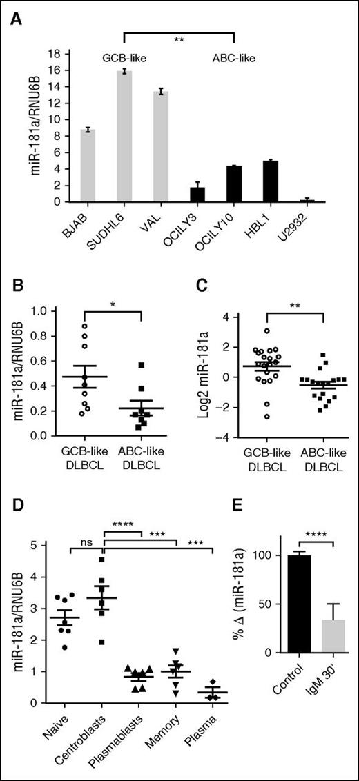 Figure 1. miR-181a expression is significantly decreased in ABC populations. miR-181a expression in (A) DLBCL cell lines that are classified as GCB-like or ABC-like (2 independent experiments in triplicates per cell line). (B) De novo primary DLBCL tumors (GCB-like, n = 9; ABC-like, n = 8). (C) ABC-like (n = 19) and GCB-like (n = 20) DLBCL tumors (P = .0015) from miRNA microarray data set, GSE 15250.16 (D) Different stages of mature B-cell differentiation subsets enriched from human tonsils by multiple purification steps that are described in supplemental Materials and methods (naïve, n = 7; centroblasts, n = 6; plasmablasts, n = 6; memory, n = 6; and plasma cells, n = 3). Lymphocytes were gated on CD19. Centroblasts (CD77+IgD−CD38+) and plasmablasts (IgD−CD38++CD27+CD20+) were distinguished based on the noted surface molecules expression. (E) Quantitative real-time–PCR miRNA assay analyses in human B cells purified from the blood of healthy donors and in vitro activated with anti-human IgM F (ab’)2 (10 μg/mL) for 30 minutes (n = 3; 2 independent experiments). Total RNAs extracted from the noted B-cell populations were analyzed for the expression of miR-181a. The expression was corrected for RNU6B levels. Shown is the change in mean normalized miR-181a expression ± standard error of the mean (SEM) upon stimulation. Statistical significance was determined by Student t test. *P < .05; **P < .01; ***P < .001; ****P < .0001. ns, not significant.
