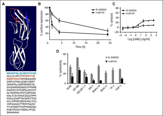 Figure 1. Comparison of Fc-engineered anti-CD33 antibody BI 836858 and nonengineered HuM195. (A) Hydrogen-deuterium exchange mass spectrometry (HDXMS) analysis of BI 836858 and HuM195 complexed with CD33. Protection from D2O exchange when bound to CD33 mapped onto the structure of CD33. Blue region indicates protection of CD33 by BI 836858; red region indicates protection by HuM195. Resolution of the method is determined by the peptides produced by digestion with pepsin. The antibodies bind to nonoverlapping amino acid residues in the N-terminal region of CD33. A structural model was calculated based on Siglec-526; the predicted epitopes for BI 836858 (blue) and Hum195 (red) are depicted. (B) Effect of BI 836858 and HuM195 on CD33 surface retention on HL60 cells. Cell surface–bound IgG was determined at indicated time points with a secondary fluorescence-labeled anti-IgG antibody and data were normalized against time point 0. The means of 6 independent experiments are shown. Incubation of HL60 cell lines with both antibodies results in decreased CD33 surface exposure over time, indicative of internalization of antibody/CD33 complexes. BI 836858 shows significantly higher CD33 levels over time compared with HuM195. (C) ADCC activity on HL60 cells at an E:T ratio of 20:1; peripheral blood mononuclear cells from healthy individuals were used as effectors. (D) Summary of ADCC on leukemia cell lines and primary AML blasts. BI 836858 displays superior efficacy of cytolysis compared with HuM195 under identical experimental conditions in both AML cell lines and 6 primary AML samples. Healthy donor NK cells were used as effectors and the 51Cr-labeled ADCC assay was done to measure cytotoxicity.