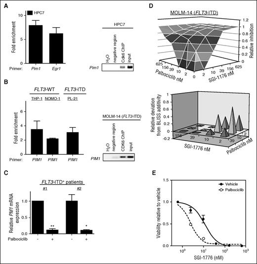 Figure 6. CDK6 directly regulates PIM1 kinase. (A-B) ChIP assays were performed in (A) murine HPC7 hematopoietic progenitor lines and in (B) indicated human AML cell lines as described in Figure 3H-I. (C) PIM1 gene expression was analyzed by quantitative RT-PCR in primary CD34+ cells bearing FLT3-ITD after palbociclib (#1, 1 µM; #2, 0.3 µM) administration. Relative PIM1 expression levels were normalized to RPLP0 mRNA. (D) Combined effects of palbociclib with PIM1 inhibitor SGI-1776 free base exceeds Bliss prediction indicating synergy. Dose-response surfaces are centered on the EC50 of each compound in the MOLM-14 cells (upper panel). Analysis was carried out in triplicate. Values depicted represent absolute deviations. Observed values were divided through SDs plus 15th percentile. Needle graphs indicate deviation from Bliss-predicted additivity in FLT3-ITD–expressing AML cells (MOLM-14) (lower panel). (E) Dose-response curve with PIM1 inhibitor SGI-1776 free base alone or in the presence of 10 nM palbociclib (based on the Bliss prediction) in the MOLM-14 cell line. *P < .05; **P < .01.