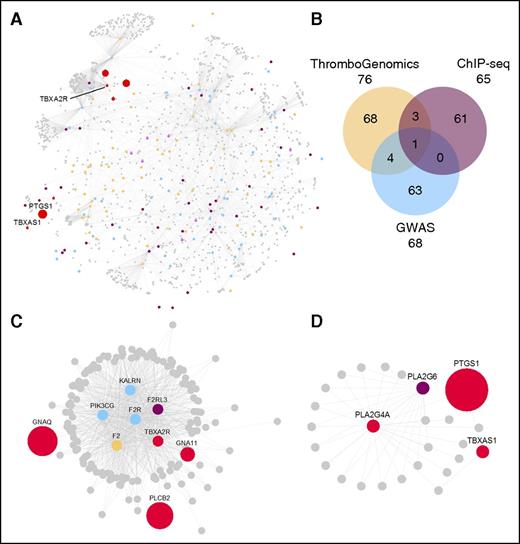 Figure 4. Protein–protein interaction network reflecting the molecules and pathways implicated in megakaryopoiesis, the formation of platelets, thrombosis, and hemostasis. (A) PPIN of 1684 nodes (proteins) connected by 5360 edges (biochemical reactions). The 1517 first-order interacting nodes and all but 24 of the 5360 edges were obtained from the Reactome (n = 3625) and IntAct (n = 1711) databases. The 24 edges were added on the basis of manual literature curation. (B) The 200 baits are colored as per the Venn diagram, except for the 8 baits present in >1 category, which are pink, and the 8 prototype proteins involved in the synthesis of thromboxane and signaling via the thromboxane receptor (Tbxa2r) pathway. The Venn diagram shows the 3 gene sets in ochre, blue, and purple for the ThromboGenomics HTS test platform gene set,82 the platelet volume and count GWAS gene set,1 or the gene set identified by ChIP-seq in human megakaryocytes and showing binding of all 5 transcription factors (Fli1, Gata1, Gata2, Runx1, and Tal1) at their promoter,110 respectively. (C-D) Subnetworks retrieved from the PPIN in A. (C) A subnetwork of 156 nodes and 874 edges obtained by retrieving the first-order interactors of Tbxa2r, the receptor for thromboxane. (D) A subnetwork of 26 nodes and 42 edges involved in the synthesis of thromboxane and obtained by selecting the first-order interactors of Tbxas1 (thromboxane synthase 1) and Pla2g4a (phospholipase A2). The red nodes in C and D are a set of prototype proteins related to thromboxane synthesis and signaling and the other colored nodes are baits. The surface areas of the red colored nodes in A and all colored nodes in C and D reflect their transcript level determined by sequencing of RNA from human megakaryocytes (data retrieved from Chen et al).103 An interactive version of the network, containing gene expression levels and other annotation features, is available for download in Cytoscape format from the supplemental Data.