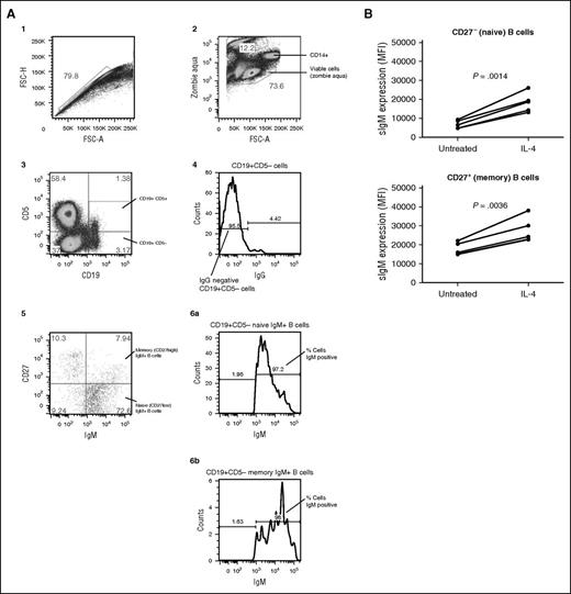 Figure 1. IL-4 enhances sIgM expression in B cells from healthy human donors. (A) Depicts the gating strategy for determining the naive and memory B cells from normal donors and described in detail in the supplemental methods. (B) PBMCs were extracted and treated with and without IL-4 (10 ng/mL) for 24 hours. Using the gating strategy in (A), sIgM levels were quantitated by flow cytometry in the naive and memory B cell. Statistical significance was determined by a paired Student t test where indicated (B).
