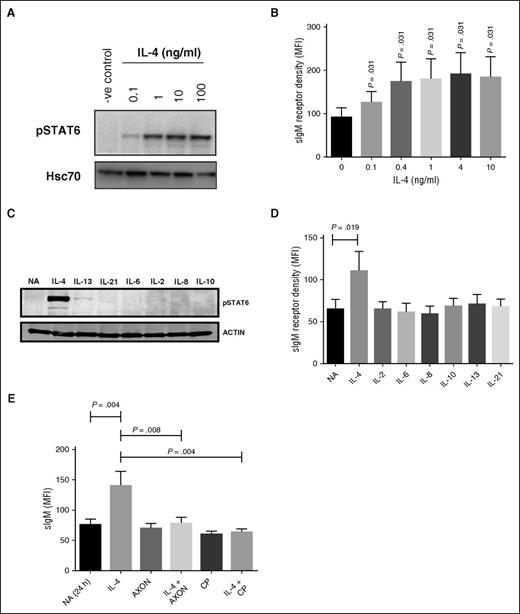 Figure 3. Effects of IL-4 on sIgM expression are mediated via JAK/STAT signaling. CLL samples were treated with IL-4 (0.1-10 ng/mL) for 24 hours and (A) phosphorylated STAT6 (pSTAT6) and (B) sIgM expression analyzed using immunoblotting and flow cytometry, respectively. (A) A representative sample and (B) summarized data (n = 6). (C-D) CLL cells were pretreated with the indicated cytokines and (C) phosphorylated STAT6 (pSTAT6) (n = 9) and (D) sIgM quantified by immunoblotting (n = 9) and flow cytometry (n = 9), respectively. (E) CLL samples (n = 10) were pretreated for 1 hour with the JAK1/3 inhibitor (CP, tofacitinib) or the STAT6 inhibitor (AXON; AS1517499) before IL-4 addition for a further 23 hours. sIgM was quantified by flow cytometry. Graphs show MFI values. Error bars represent the SEM. Statistical significance was determined by a paired Wilcoxon matched pairs signed rank test.