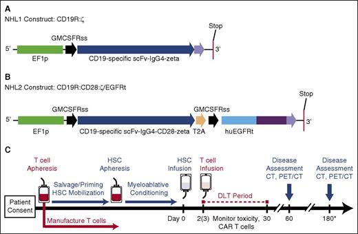 Figure 1. Constructs and treatment schema for clinical trials. (A) The CD19R:ζ DNA sequence (optimized by GeneArt) that contains the CAR sequence consisting of the VH and VL gene segments (scFv) of the CD19-specific FMC63 monoclonal antibody (mAb), IgG4 hinge-CH2-CH3, and signaling domains CD3ζ (CD19CAR) was cloned into a self-inactivating lentiviral vector pHIV7 that has an EF-1 promoter. (B) In addition to CD19 scFv, the CD19R:CD28:ζ/EGFRt+ epHIV7 lentiviral construct also contains (1) the cytoplasmic domain of the CD3ζ chain; (2) the CD28 costimulatory domain, (3) the self-cleaving T2A sequence; and (4) the truncated EGFR sequence as indicated. The huEGFRt was synthesized by PCR splice overlap extension to fuse in frame the human granulocyte-macrophage–colony-stimulating factor receptor's leader peptide to domains III and IV and the transmembrane spanning components of huEGFR (base pairs, 1000-2004). This fusion product was then cloned into the epHIV7 vector (in which the cytomegalovirus promoter of pHIV7 was replaced with an EF-1 promoter) along with the CD19CAR and T2A sequences, and the final construct was confirmed by sequence analysis. (C) Leukapheresis for T-cell manufacturing may be drawn before or after cycles of salvage chemotherapy. Research participants received T-cell infusions on either day +2 or +3 after HSCT. *Disease assessments continue every 6 months until 2 years after HSCT (6, 12, 18, and 24 months). PET, positron emission tomography.