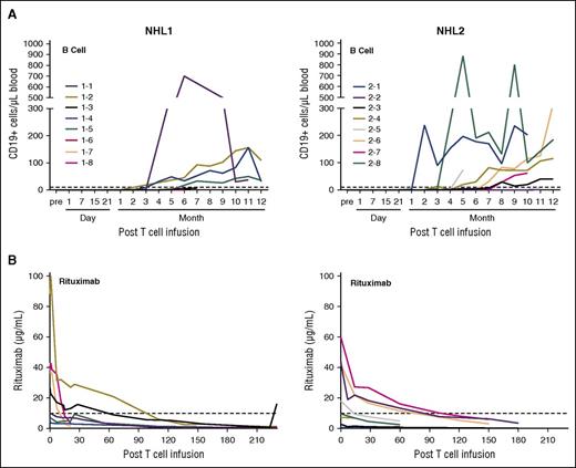 Figure 6. B-cell reconstitution following HSCT and CD19 CAR T–cell infusion. PBMCs from patient blood were analyzed by flow cytometry at different time points after adoptive transfer. (A) Samples were analyzed by multiflow cytometry after staining with 7-AAD, CD3 VioBlue, CD19 PE, CD20 FITC, and CD10 APC for the analysis of B-cell reconstitution. Absolute CD19+ cells were calculated based on the percentage of CD19+ cells, white blood cell counts, and percentage of lymphocytes. (B) Rituximab levels in the serum of the patients were determined with a time-resolved fluorometry assay.