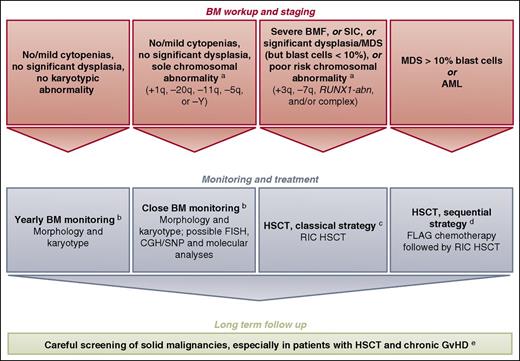 Figure 1. How we diagnose and manage FA patients with MDS and AML. aWe defined provisional cytogenetic/molecular categories by reference to MDS/AML literature in FA6,7,27,33,34 and non-FA49,50 patients (also see text). RUNX1-abn can include RUNX1 gene mutation, deletion, and/or translocation.7 Genetic reversion (hematopoietic somatic mosaicism) is not indicated in the figure to keep it simple. bThe timing of BM monitoring is discussed, especially because repeated aspiration is poorly tolerated in children, adolescents, and young adults.40 The overall consensus is that a 1-year basis of BM aspirate is reasonable and should be adapted in response to blood cell count changes, myelodysplasia signs, increased blast proportion, and/or cytogenetic evidence of clonal evolution. Conversely, BM monitoring is likely to be slightly delayed in FA children under age 10 years (except in BRCA2/FANCD1 patients), given the rarity at this age and relatively slow pace of clonal progression. cThe classical reduced-intensity conditioning (RIC) regimen consists of 90 mg/m2 of fludarabine (30 mg/m2 on days −4, −3, and −2) and 40 mg/kg of cyclophosphamide (10 mg/kg on days −5, −4, −3, and −2) in the case of matched related donor. One might argue that, in the case of MDS/AML, low-dose cyclophosphamide/fludarabine alone would not suffice as conditioning therapy due to the substantial number of residual host cells early after transplant with this approach and the risk of relapse; an alternative is the use of TBI (2-3 Gy) in patients with MDS/AML and an HLA- matched sibling donor.16,48 In the case of matched unrelated donor, the conditioning regimen consists of fludarabine (120 mg/m2), cyclophosphamide (40 mg/kg), and TBI (2 Gy). GVHD prophylaxis consists of mycophenolate acid and cyclosporine. Anti-thymocyte globulin is used in total doses of 5 mg/kg in the case of matched unrelated donor only. Others favor ex vivo T-cell depletion with an add-back of T cells to achieve a fixed graft T-cell dose of 1 × 105 CD3 cells per kilogram recipient.62 In the case of CB HSCT, we do not use anti-thymocyte globulin in the conditioning regimen. dOthers do not recommend cytoreduction, except in patients with BRCA2 mutations16,48,62; the sequential strategy comprising pretransplant chemotherapy with fludarabine (30 mg/m2 per day for 5 days) and cytarabine (1 g/m2 twice per day for 5 days) with granulocyte colony-stimulating factor injections (FLAG), followed 3 weeks later by an RIC regimen (4 days of cyclophosphamide, 10 mg/kg; 4 days of fludarabine, 30 mg/m2; and TBI, 2 Gy) delivered during chemotherapy-induced aplasia. Again, anti-thymocyte globulin is used in total doses of 5 mg/kg in the case of matched unrelated donor only. In the case of CB HSCT, we do not use anti-thymocyte globulin in the conditioning regimen. eScreening for malignancies, including oropharyngeal, dental, and gynecological examinations, forms part of long-term patient care. Long-term multidisciplinary surveillance is also mandatory for all patients post-HSCT.40 The multiple problems in early age, subsequent requirements for HSCT, and continuing poor prognosis in survivors due to cancer susceptibility are a source of stress for FA patients and their families. Adequate psychosocial support and a coordinated, multidisciplinary team with dedicated physicians are the cornerstones to successful management.40 CGH, comparative genomic hybridization; FLAG, fludarabine/cytarabine/granulocyte colony-stimulating factor; GVHD, graft-versus-host disease; SIC, severe isolated cytopenia; SNP, single nucleotide polymorphism.