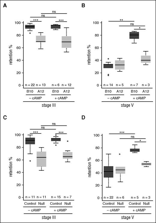 Figure 3. cAMP-mediated changes in GIE deformability are linked to STEVOR expression. (A-B) Retention in microsphilters of stages III (A) and stages V (B) GIE from the B10 (dark gray) and the A12 (medium gray) wild-type clones preincubated at 37°C during 30 minutes with (+cAMP) or without (–cAMP) 100 µM 8Br-cAMP. (C-D) Retention in microsphilters of stages III (C) and stages V (D) GIE from the control (dark gray) and the Null (medium gray) parasite line. GIEs were preincubated at 37°C 30 minutes with (+cAMP) or without (−cAMP) 100 µM 8Br-cAMP. Error bars denote the standard error of the mean. Outliers are shown as open circles. Stars represent significant differences in retention rates (***P < .001; **P < .01; *P < .05). ns, nonsignificant differences in retention rates.