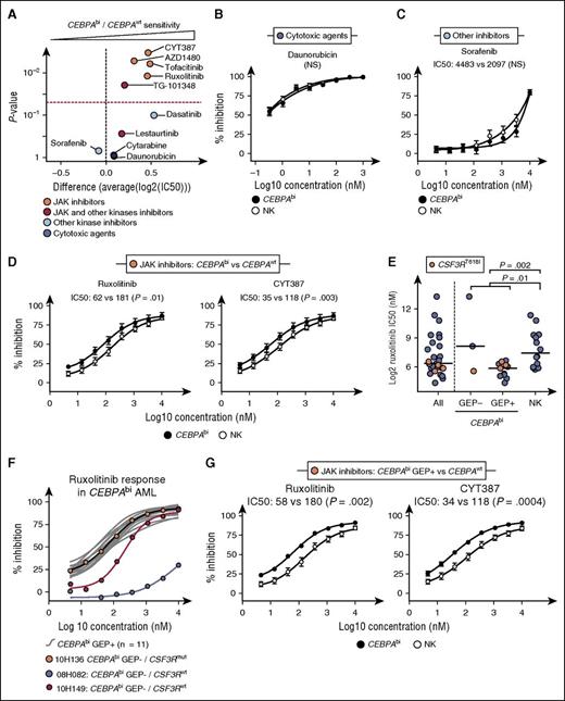 Figure 3. CEBPAbi AML is uniformly sensitive to JAK inhibitors. (A) Volcano plot showing the comparative sensitivity of CEBPAbi AML (n = 14) vs CEBPAwt NK AML (n = 14) to selected small molecules. Dashed red line corresponds to P = .05. (B-D) Mean dose-response curves with SEM and IC50-associated statistics comparing CEBPAbi AML (n = 14) to CEBPAwt NK AML (n = 14) for selected compounds as follows: (B) daunorubicin, (C) sorafenib, and (D) ruxolitinib and CYT387. Results for other compounds are shown in supplemental Figure 4. (E) IC50 for ruxolitinib in all samples (n = 28) (left), CEBPAbi GEP− AML (n = 3) and CEBPAbi GEP+ AML (n = 11) (middle), and NK AML (n = 14) (right). CSF3R T618 mutated samples are indicated in orange. Horizontal bars represent medians. (F) Individual dose-response curves (gray) for GEP+ and GEP− (black, red, and blue curves) CEBPAbi AML. Results for other JAK inhibitors are shown in supplemental Figure 6. (G) Mean dose-response curves with SEM and IC50-associated statistics comparing CEBPAbi GEP+ AML (n = 11) to CEBPAwt NK AML (n = 14) for selected JAK inhibitors. Results for other JAK inhibitors are shown in supplemental Figure 7. P values were calculated using a Wilcoxon rank-sum test on IC50 values. NS, not significant; SEM, standard error of the mean.
