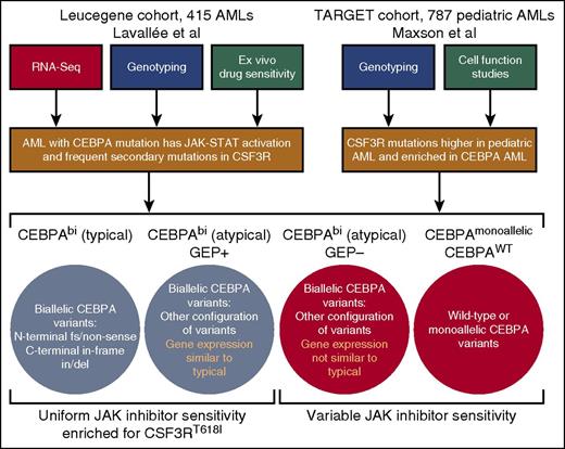 Workflow of studies and summary of findings. By using a combination of RNA-Seq, genotyping, and ex vivo drug sensitivity studies, Lavallée and colleagues identified a gene signature of JAK-STAT pathway activation in patients with biallelic CEBPA mutations, which corresponds with enrichment of secondary mutations in JAK-STAT regulating genes, most notably CSF3R, as well as uniform hypersensitivity to JAK kinase inhibitors. Maxson et al performed sequencing on a large cohort of pediatric AML cases with validation of variants in cell transformation assays. They found CSF3R mutations to be higher in this pediatric cohort than in any adult AML cohorts and, consistent with the findings of Lavallée et al, found a significant enrichment of CSF3R mutations within the CEBPA mutated subset.
