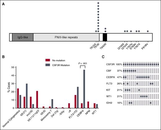 Figure 1. CSF3R mutations co-occur with CEBPA mutations in pediatric AML. (A) Schematic showing the locations of CSF3R mutations found in pediatric AML. One patient had both the T618I and T615A mutations. (B) The percentage of cytogenetic abnormalities (obtained from clinical data) or gene mutations for patients with transforming CSF3R mutations (gray) or CSF3R non-mutated cases (red) are shown. (C) Transforming CSF3R mutation overlap with other gene mutations. The most frequent genomic alterations are shown by OncoPrint analysis. Each column represents a case with a transforming CSF3R mutation. Mutations are represented by a gray square. Some 74% of these cases have either a CBF rearrangement or CEBPA mutation, and there is very minimal overlap between CBF and CEBPA. Custom OncoPrints were generated using the OncoPrinter function of the cBioPortal website (www.cbioportal.org). FNIII, fibronectin type III; IDH2, isocitrate dehydrogenase 2; IgG, immunoglobulin G; KIT, KIT proto-oncogene receptor tyrosine kinase; WT, wild-type.