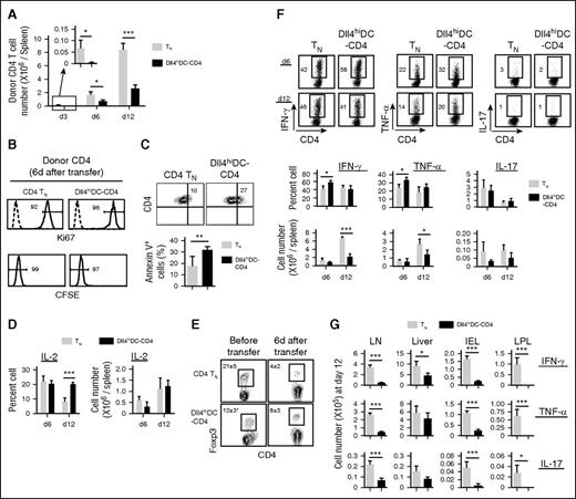Figure 5. Dll4hiDC-T cells produced high levels of IFN-γ but have impaired capacity to expand in vivo. Dll4hiDC-induced CD4+ T cells (1.0 × 106) of B6/SJL origin (H-2b, CD45.1) were transplanted with TCD-BM (5.0 × 106) into lethally irradiated BALB/c mice (H-2d, CD45.2). Equal numbers of unstimulated B6/SJL CD4+ TNs were transferred to lethally irradiated BALB/c mice as controls. At days 3, 6, and 12 after transplantation, donor T cells were isolated from the spleens, lymph nodes (LN), liver, intestinal epithelial lymphocytes (IEL), and lamina propria lymphocytes (LPL) of recipient mice (3 mice per group). (A) Graphs show the numbers of donor (CD45.1+) CD4 T cells recovered from the spleens of recipient BALB/c mice at the indicated time points. (B) Histogram shows Ki67 and CFSE in donor CD4+ T cells 6 days after in vivo transfer. (C) Plots and graphs show the percentage of early apoptotic donor CD4+ T cells that were annexin V positive. (D) Graphs show the percentages and numbers of donor CD4+ T cells producing IL-2 in the spleen. (E) Plots and the graph show the percentage of donor FoxP3-positive Treg cells prior to transfer and 6 days after transfer. (F) Dot plots and graphs show the percentages and numbers of donor CD4+ T cells producing IFN-γ, TNF-α, and IL-17 in the spleen at day 6 and day 12 after transplantation. (G) Graphs show the number of donor CD4+ T cells producing IFN-γ, TNF-α, and IL-17 in GVHD target organs at day 12 after transplantation. Data show mean ± SD. Representative data from 2 independent experiments are shown. *P < .05; **P < .01; ***P < .001.