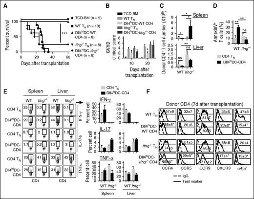 Figure 6. T-cell IFN-γ is required for Dll4hiDCs programming to reduce CD4+ T-cell–mediated GVHD. Unstimulated WT or Ifng−/− CD4+ TNs (0.5 × 106) and allogeneic Dll4hiDC-induced WT or Ifng−/−CD4+ T cells (0.5 × 106) of B6 background were separately transplanted with TCD-BM (5.0 × 106) into lethally irradiated BALB/c mice. Survival (A) and GVHD clinical score (B) of the recipients were monitored over time. Data shown here are pooled from 2 independent experiments. (C) Six days after transplantation, donor T cells were isolated from the spleens and livers. Graphs show the numbers of donor CD4+ T cells in recipient BALB/c mice (mean ± SD). (D) Graph shows the percentage of annexin V+ cells among donor CD4+ T cells. (E) Plots and graphs show the percentages of donor CD4+ T cells producing IFN-γ, IL-17, and TNF-α in the spleen and the liver. (F) Histograms show the expression of indicated chemokine receptors on the surface of unstimulated WT or Ifng−/− CD4+ TNs and Dll4hiDC-stimulated WT or Ifng−/− CD4+ T cells 7 days after in vivo transfer. Representative results of 2 independent experiments are shown. *P < .05; **P < .01; ***P < .001.