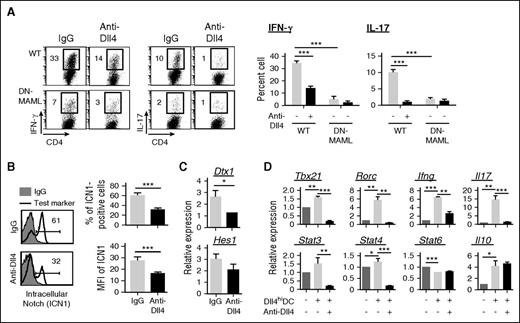 Figure 7. Dll4 activation of Notch signaling is critical for Dll4hiDCs to induce IFN-γ production in CD4+ T cells. BALB/c Dll4hiDCs were cultured for 5 days with B6 WT CD4+ TNs or DN-MAML CD4+ TNs. (A) Dot plots and graphs show the percentages of IFN-γ–producing and IL-17–producing cells cultured with or without addition of anti-Dll4 Ab. (B) Histograms and graphs show the percentages and mean fluorescence intensity (MFI) of cleaved ICN1 in WT CD4+ T cells 72 hours after Dll4hiDC activation, with or without addition of neutralizing anti-Dll4 Ab. (C) Graphs show the relative expression of Notch target genes in WT CD4+ T cells after 5 days in culture. (D) Graphs show the relative expression of indicated genes in WT CD4+ T cells after 5 days in culture. Representative data (mean ± SD of triplicates) from 2 independent experiments are shown. *P < .05; **P < .01; ***P < .001.